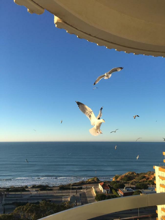 Ma Vue Mer En Algarve 波尔蒂芒 外观 照片