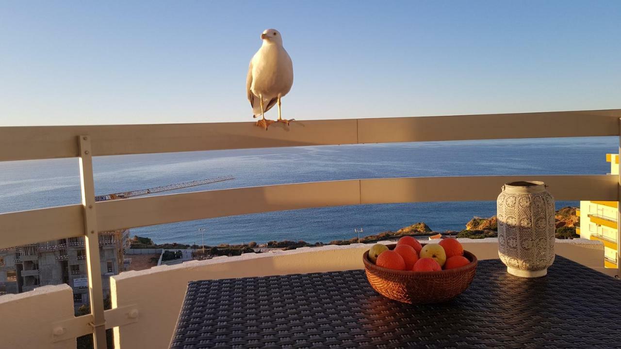Ma Vue Mer En Algarve 波尔蒂芒 外观 照片